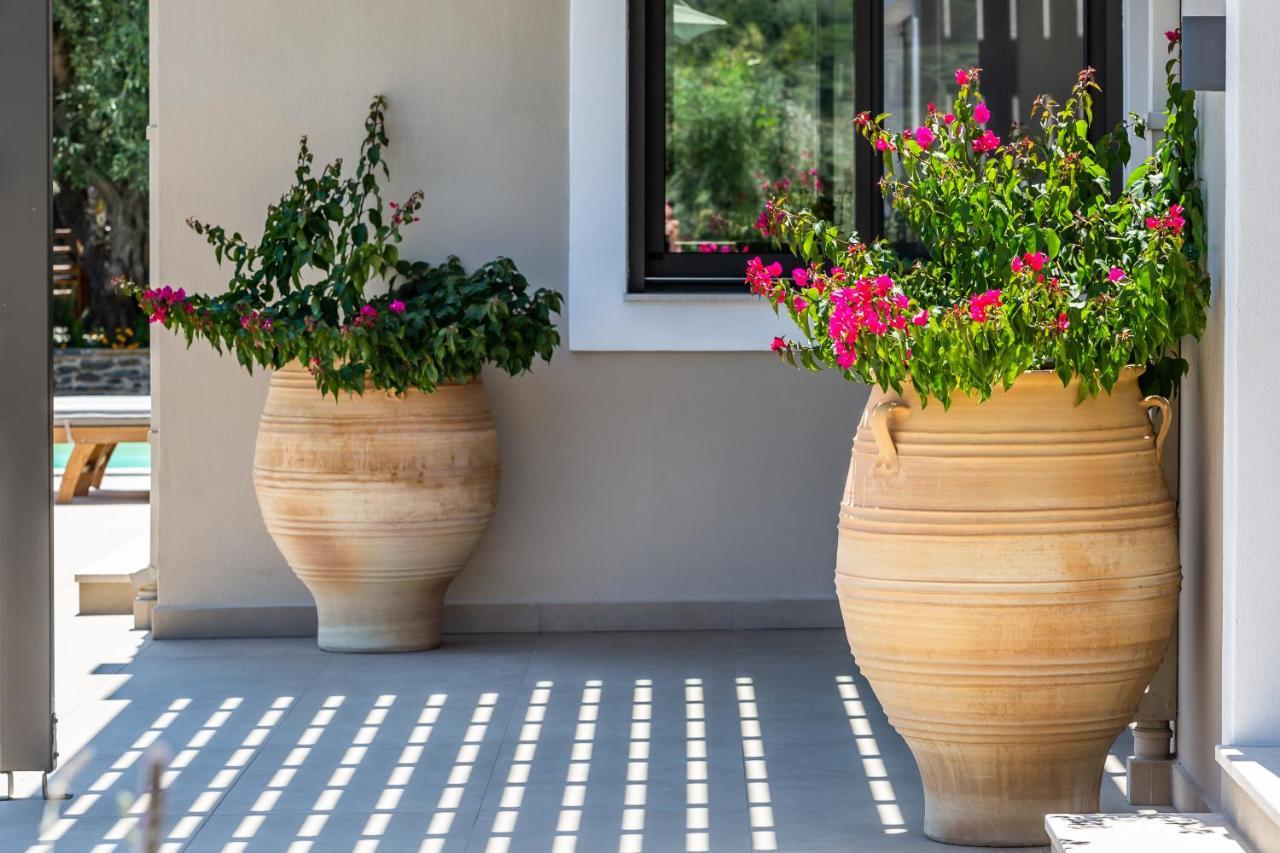 סקופלוס טאון Villa Antigone Luxury Retreat מראה חיצוני תמונה